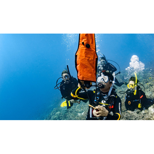 Delayed Surface Marker Buoy 